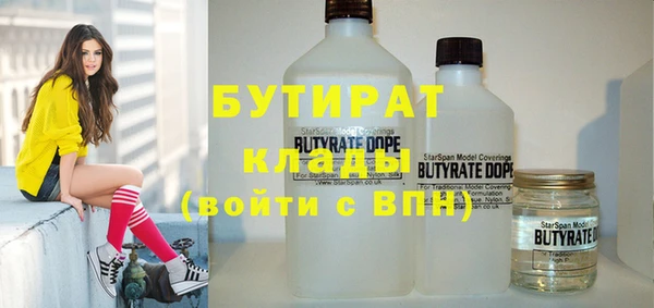 индика Бронницы