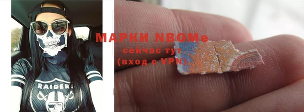индика Бронницы