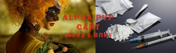 индика Бронницы