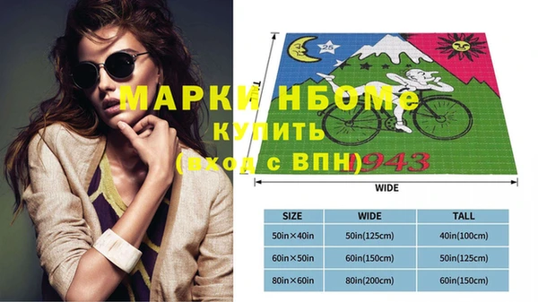 индика Бронницы