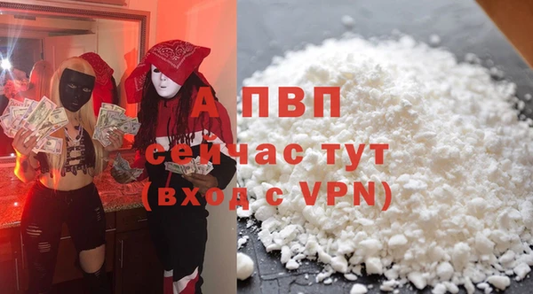 индика Бронницы
