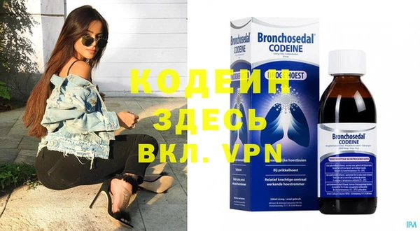 индика Бронницы