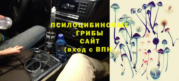 индика Бронницы