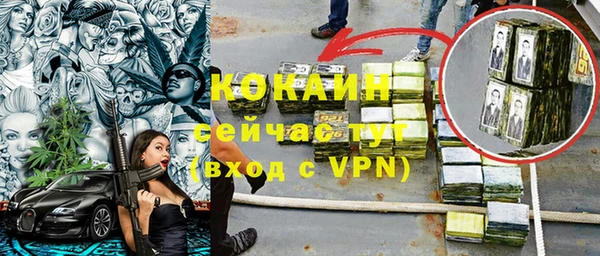 индика Бронницы