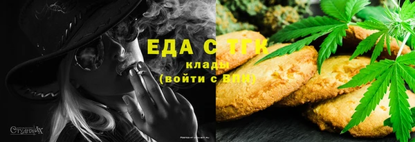 индика Бронницы