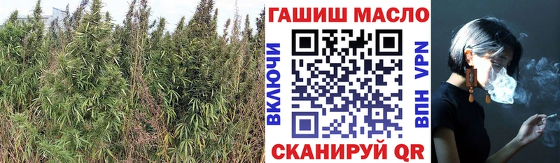 ТГК THC oil  сколько стоит  Ярцево 
