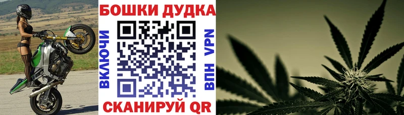 Бошки марихуана сатива  купить закладку  Ярцево 